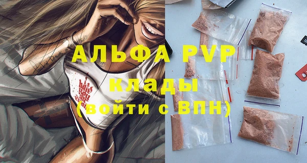 стафф Алексин