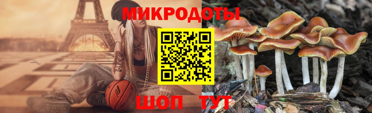 Курчалой  Галлюциногенные грибы GOLDEN TEACHER  Вход с VPN 